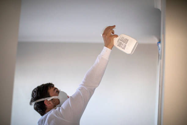 Best Toxic Mold Removal  in Lake Winnebago, MO