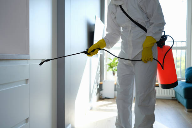 Best Mold Removal Specialists  in Lake Winnebago, MO