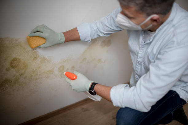 Best Crawl Space Mold Removal  in Lake Winnebago, MO