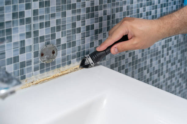 Best Mold Remediation Services  in Lake Winnebago, MO